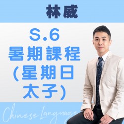 林威老師 升中六中文科暑期課程 (星期日) 第一期 – 太子