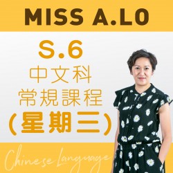 Miss A. Lo  中六中文應試技巧速成特訓班 (星期三)  (寫作能力)– 太子